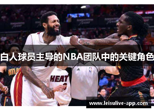 白人球员主导的NBA团队中的关键角色